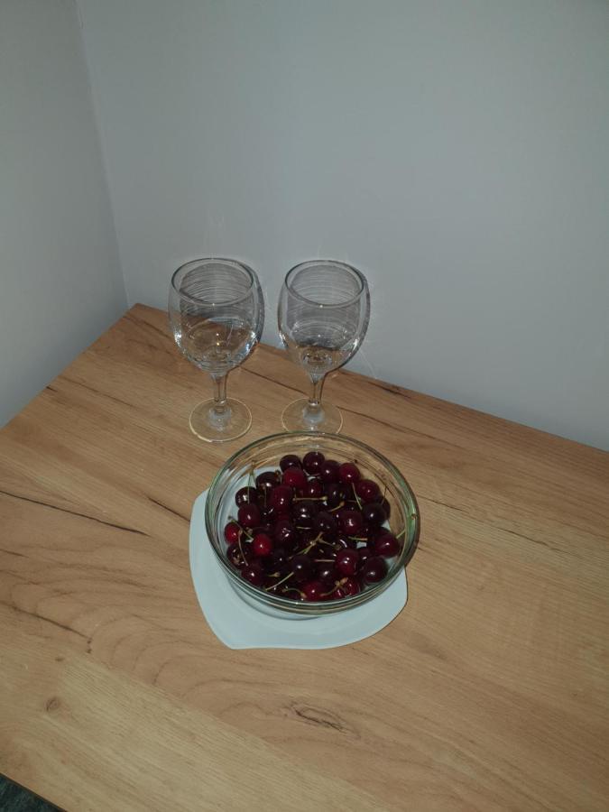 Sunny Apartment Blagoevgrad Extérieur photo